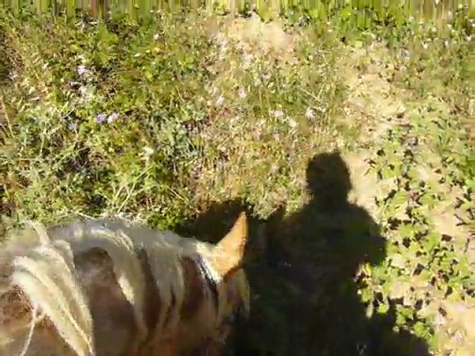 rando juin 2011