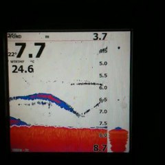 Échos Silure Echosondeur Lowrance