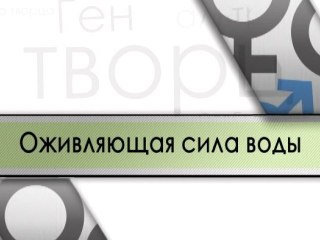 Оживляющая сила воды