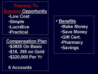 The Freeway to Success Team That Helps You Grow Your Business