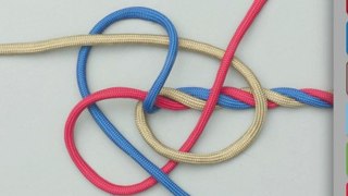 Wall Knot | How to Tie a Wall Knot