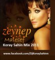 Zeynep -- Malesef (Koray Sahin Mix) 2011