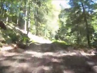 Sortie du 26-06-2011