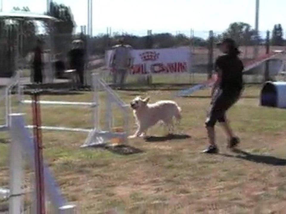 CERISE OPEN 260611-3 ème place -tlse capitole agility