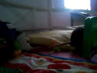 les toupoutoux en vadrouille