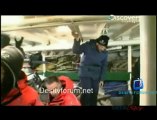 Whale Wars - 27th June 2011 Watch Video Online p1