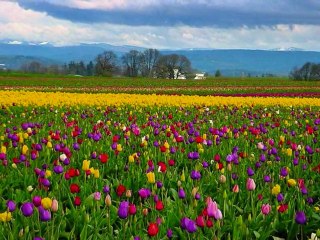 Hoy nos llamas Tú Señor