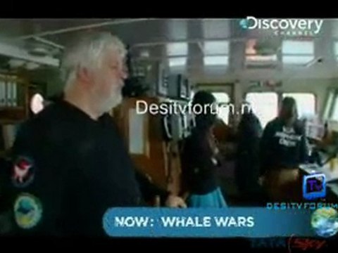 Whale Wars - 27th June 2011 Watch Video Online p5