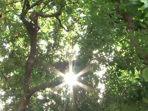 Sitgesonline - Hoteles y apartamentos en Sitges