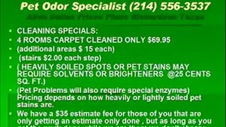 Dallas texas carpet cleaning pet odor removal water extracti