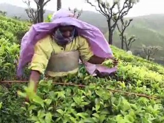 Fair Trade explained in under 2 minutes.