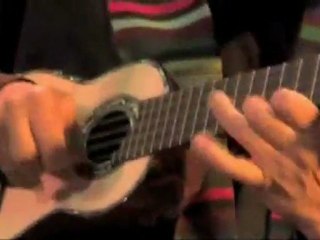 Savia Andina(El vuelo del picaflor)