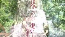 K的格调延续--东风悦达起亚K2