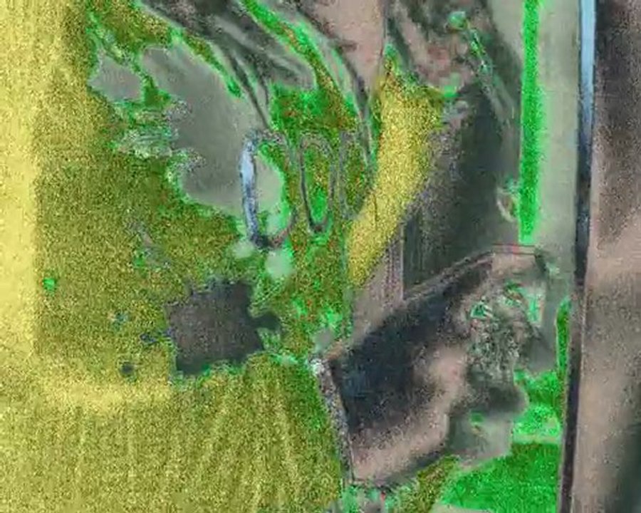 Shirley Sugar - I Like