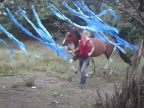 passage rubans pour indiana