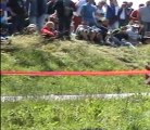 rallye des bornes 2011 chavanne comte gal