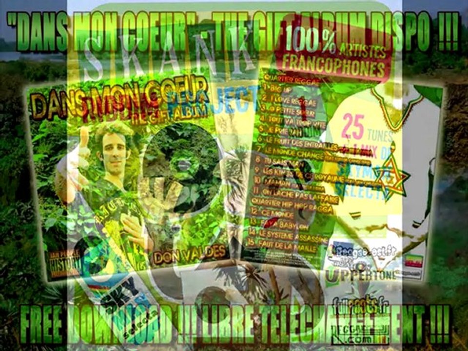 Pure Music - Don Valdes - Skank Riddim Project (2011)