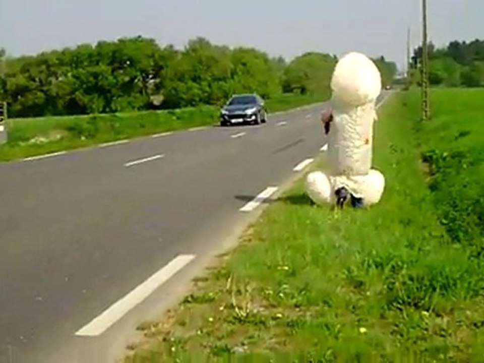 une bite fait du stop 1