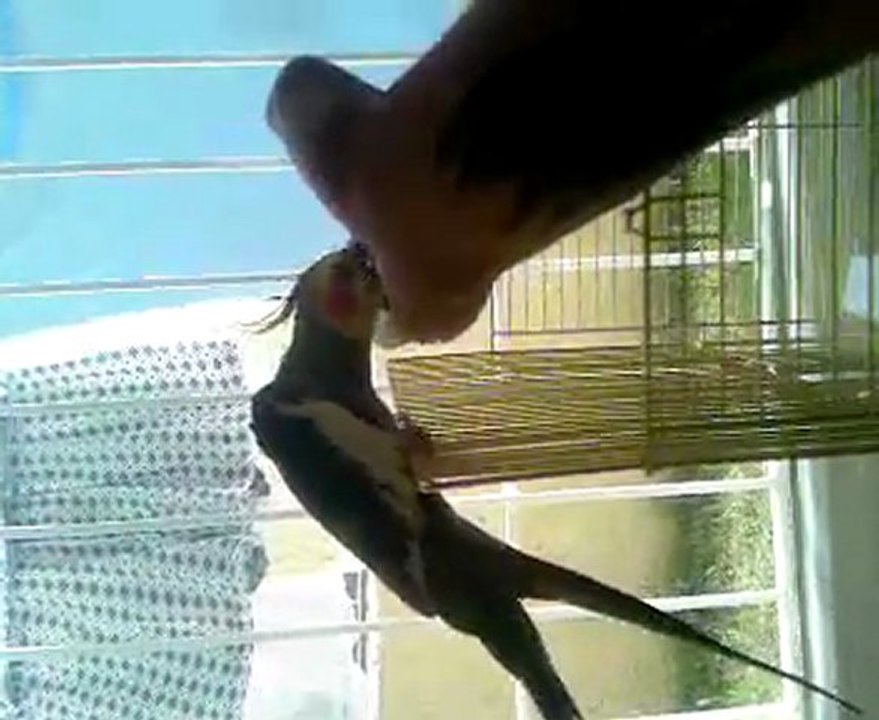 video-0022