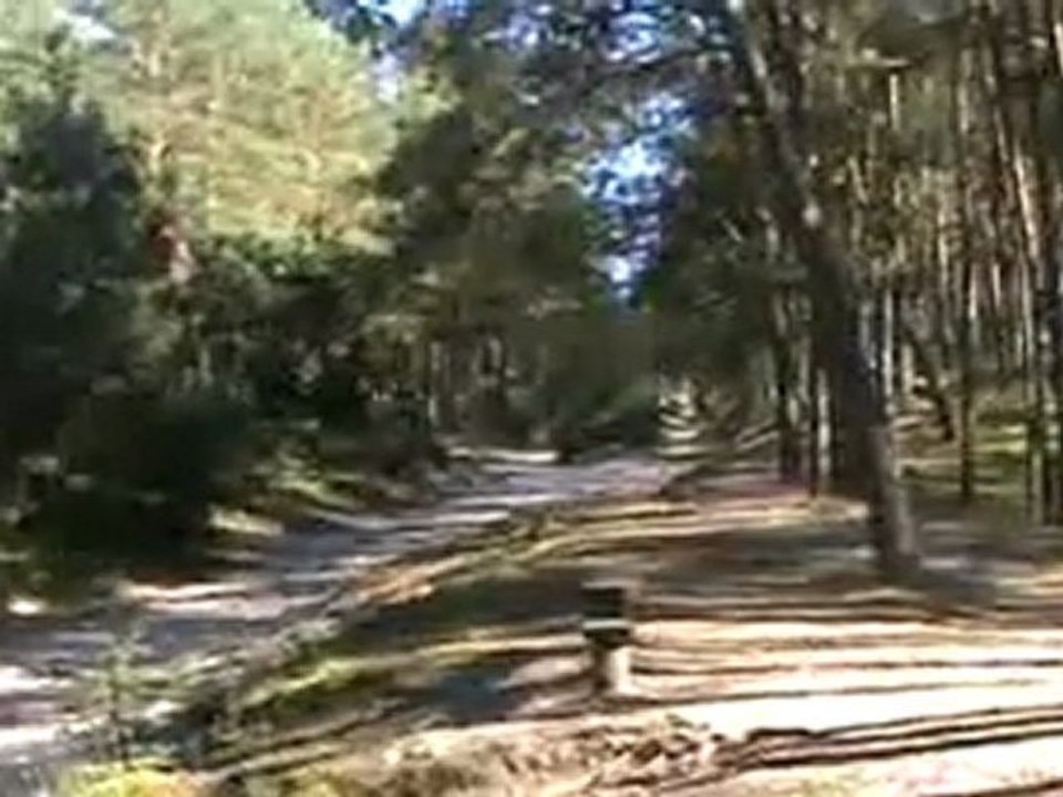 TVG-9 Na Wakacje z Psem