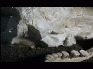 Υπερκινητικός Δάσκαλος~Ο κόσμος των Νεάντερνταλ 1