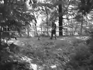 Fight or Flight (Trailer)