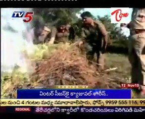 Huge Amt of Ganja Crops Destroyed Excise Police @ Medak dist