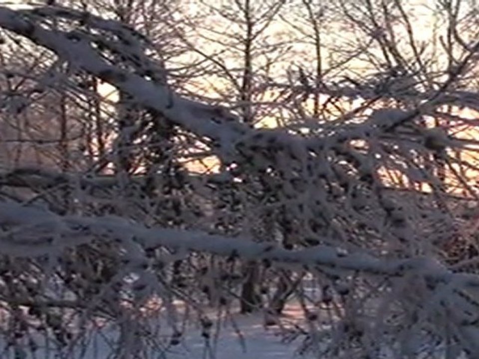 VTS_01_1