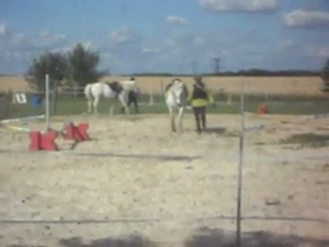 Poney-club. Les chevaux en main 4) 25/06/2011. SDC10637