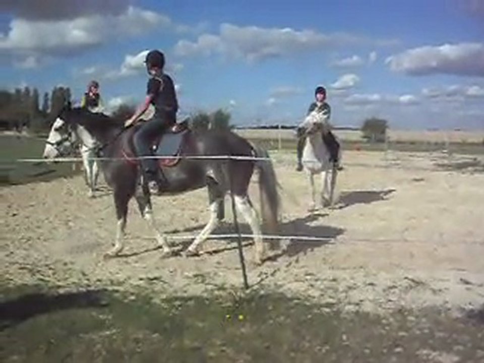 Poney-club. Les chevaux montés. Carrousel 1) 25/06/11. 1SDC10638