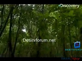 Man Vs Wild - 28th June 2011 Video Watch Online p2
