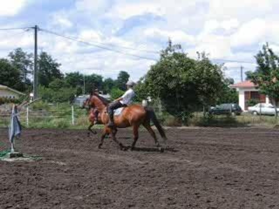 CONVAR13