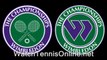 watch Wimbledon Quarter Finals 2011 tennis live streaming