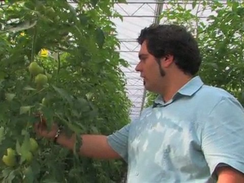 Les bons et les mauvais insectes