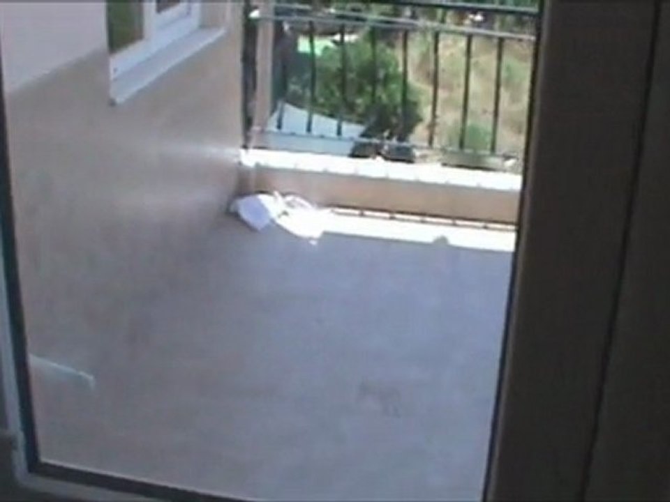 Konuksever de  2 +1 Yeni Daire