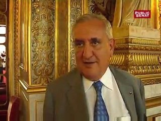 Jean-Pierre Raffarin : "Chez Martine Aubry, il y a de la consistance"