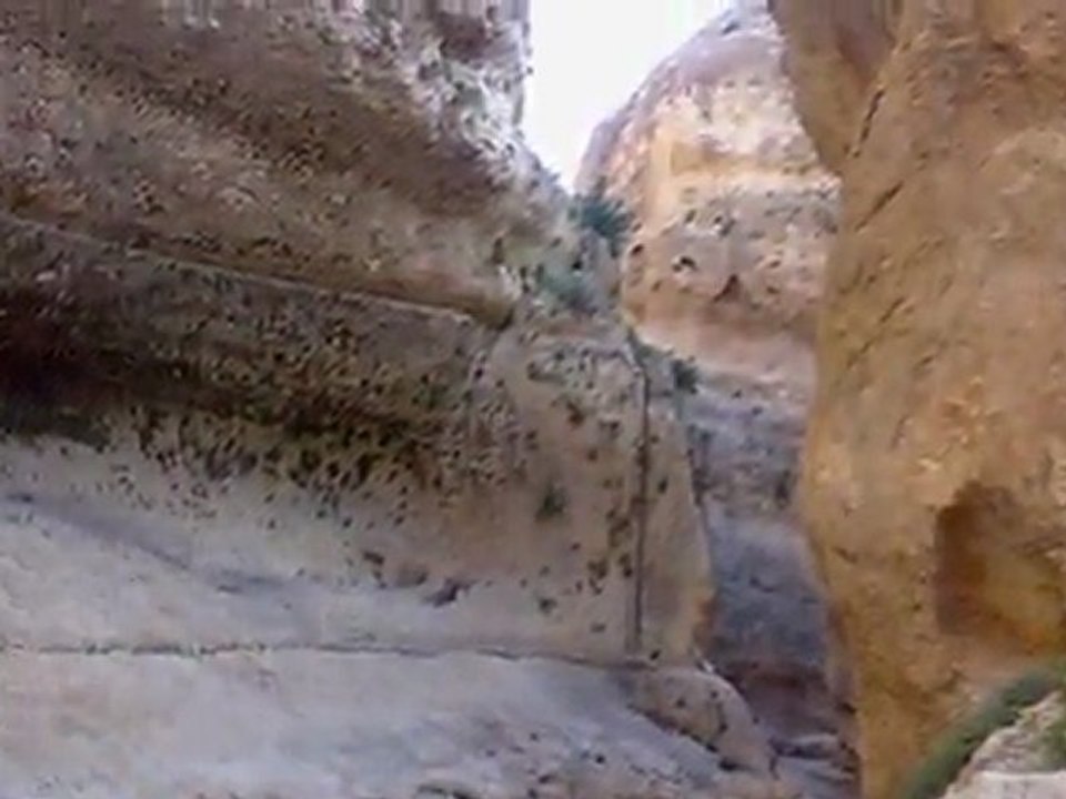 مار تقلا