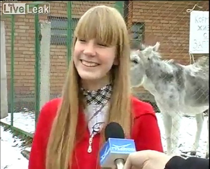 Donkey farts während der Aufzeichnung eines Interviews