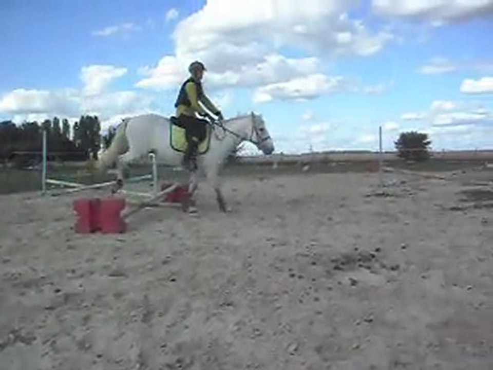 Poney-club. Les chevaux. Sauts. 1) 25/06/2011 SDC10639