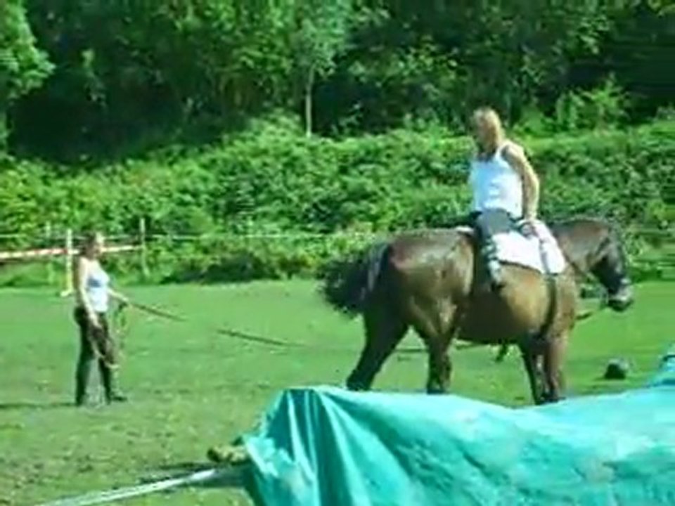 ouverture du spectacle