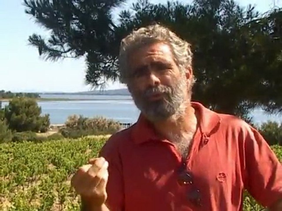 Marc Pala : passeur de territoire