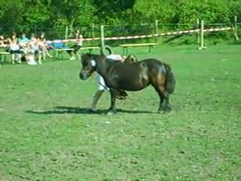 cirque de fily et sarah