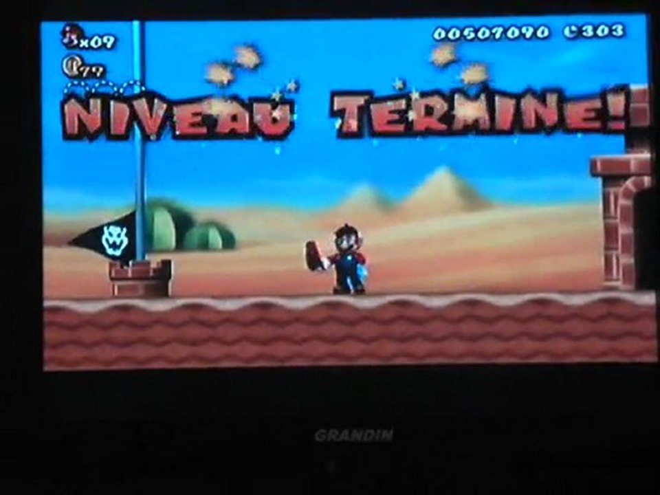 mario bros (4)