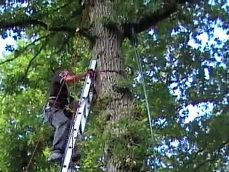 rando planète poney 2010