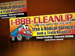 Orlando FL Tree Service 407.257.2478