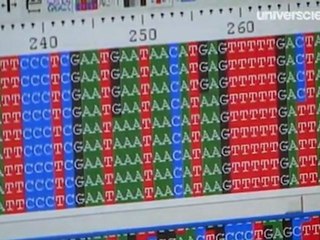 Quel est donc ce poisson ?