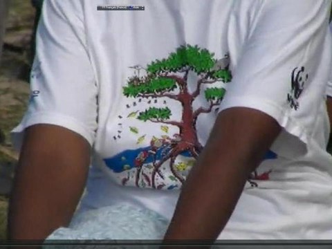 plantation de palétuviers à Toliara (Madagascar le 2 mars 2011