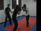 Sanda Chinese Boxing - Mestre Gomes Neto