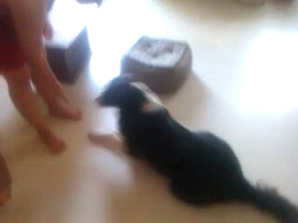 VIDEO0002