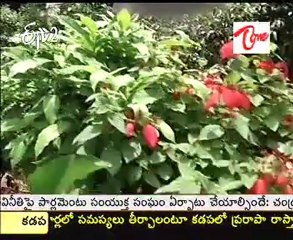 IndianPad  Looking for overseas houses